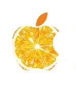 Логотип сервисного центра Applesin55